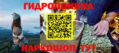 метадон Гай