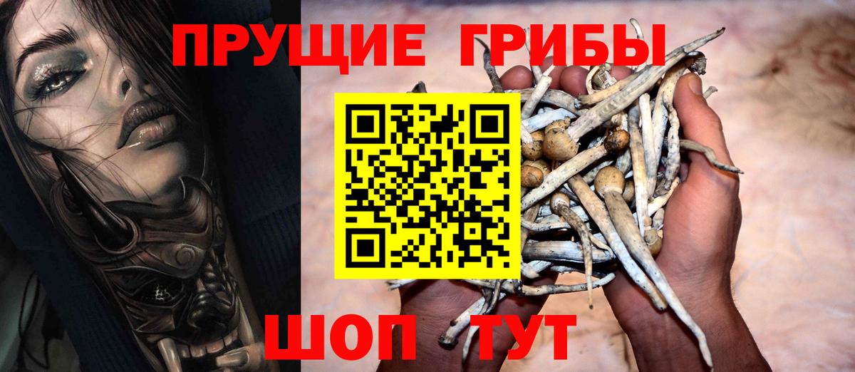 Галлюциногенные грибы Psilocybe  Псилоцибиновые грибы Psilocybe  Вход с VPN  Назарово 