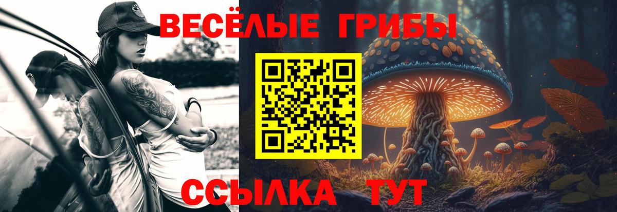 Псилоцибиновые грибы Psilocybe Назарово